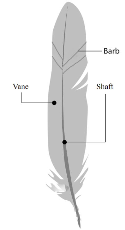 image-20260325123708957